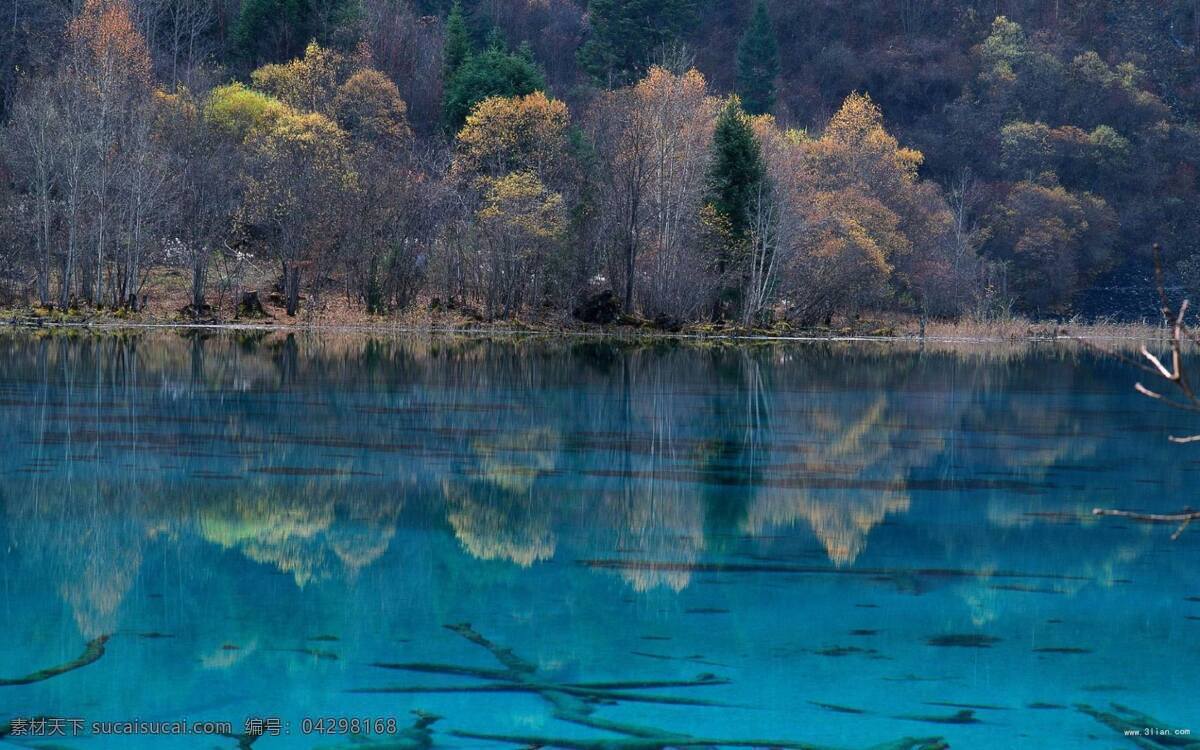 倒影 湖水 树木 美丽 畅游 青色 天蓝色