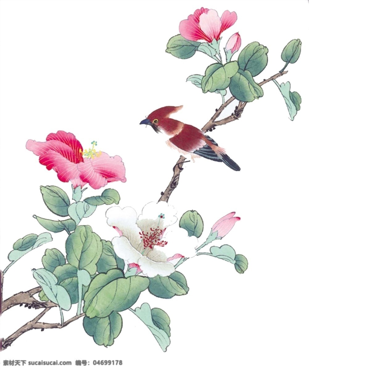 手绘 花鸟 分层 图 手绘花鸟 分层图 国画花鸟 中国风 鸟 文化艺术 绘画书法