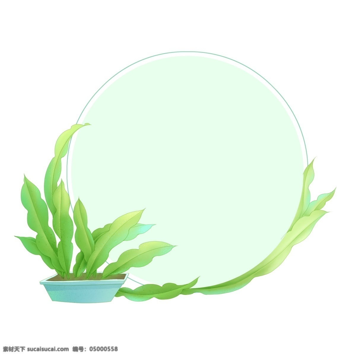 虎尾 兰 装饰 圆形 边框 绿叶 盆栽