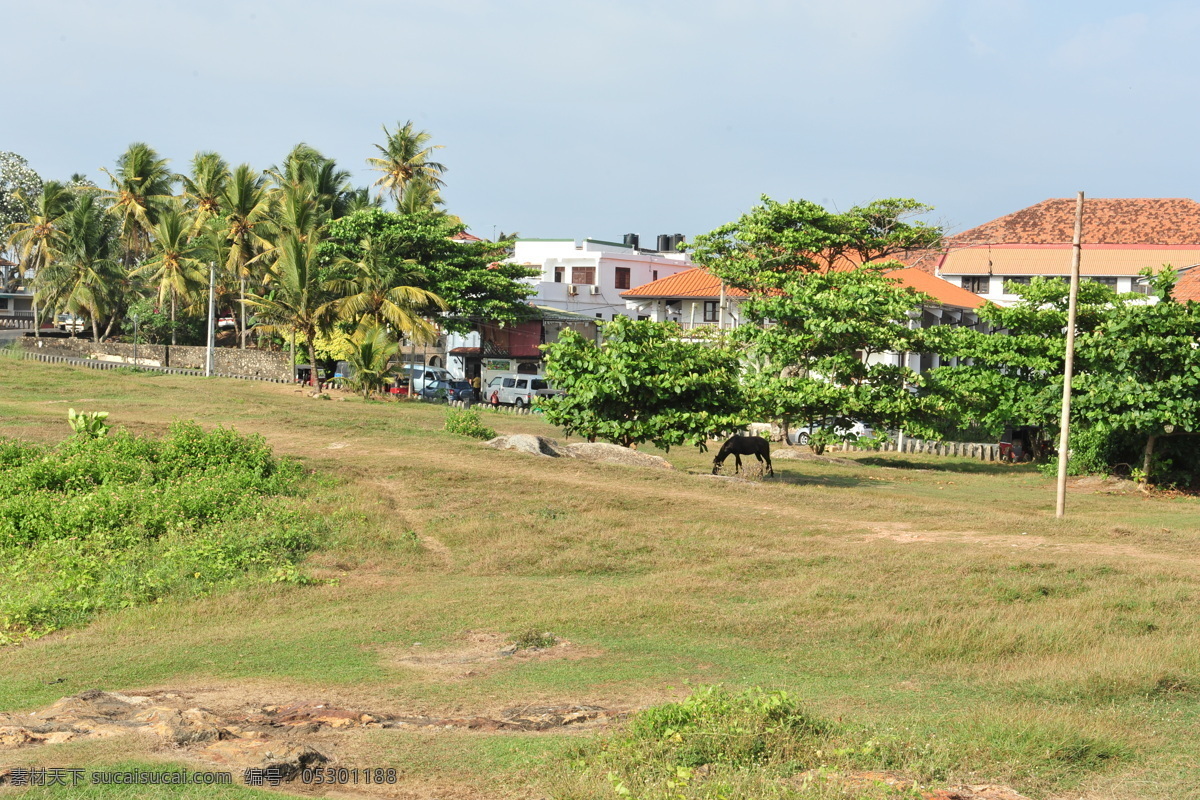 斯里兰卡风光 斯里兰卡 斯里兰卡风景 斯里兰卡街景 斯里兰卡建筑 斯里兰卡旅游 街道 建筑 外国建筑 异国风光 自然景观 风景名胜 黄色