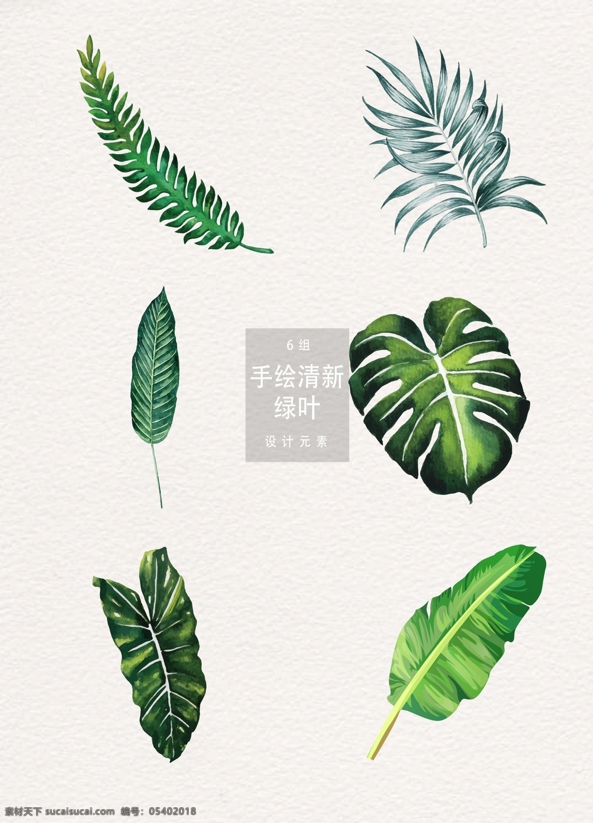 手绘绿叶 手绘 绿叶 树叶 枫叶 线条 时尚 绿色 矢量 植物主题