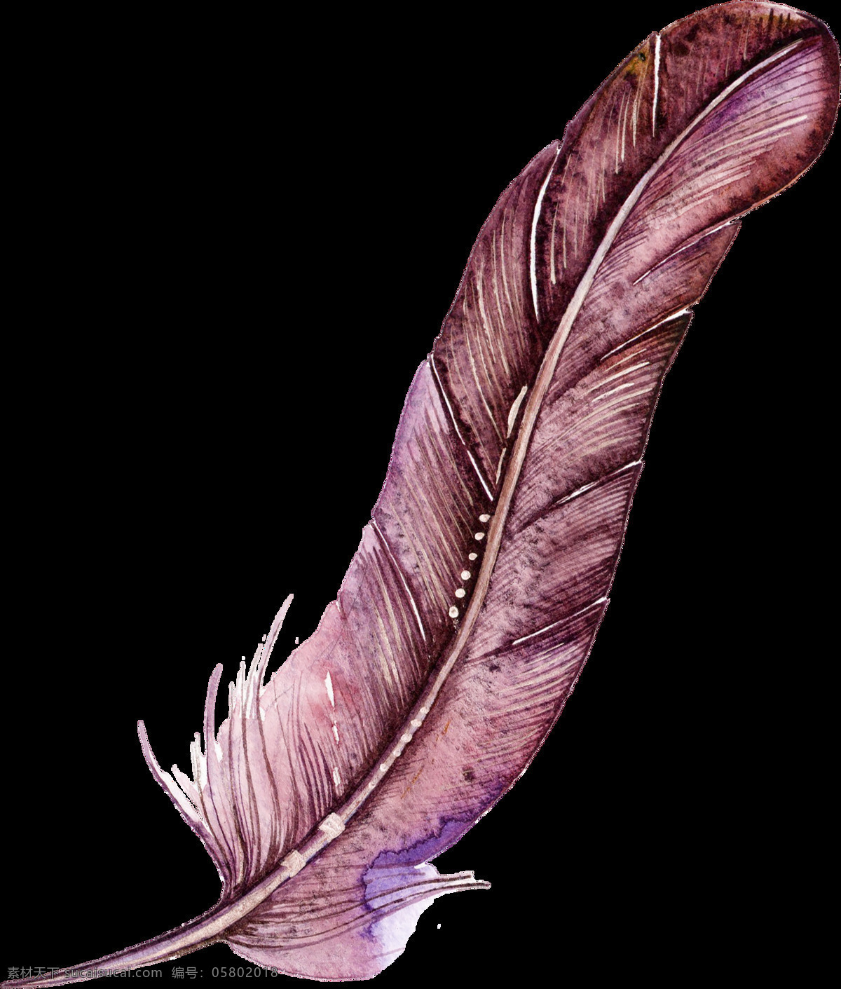 暗红色 羽毛 卡通 水彩 精美 透明 叶子 花朵 透明素材 免扣素材 装饰图案