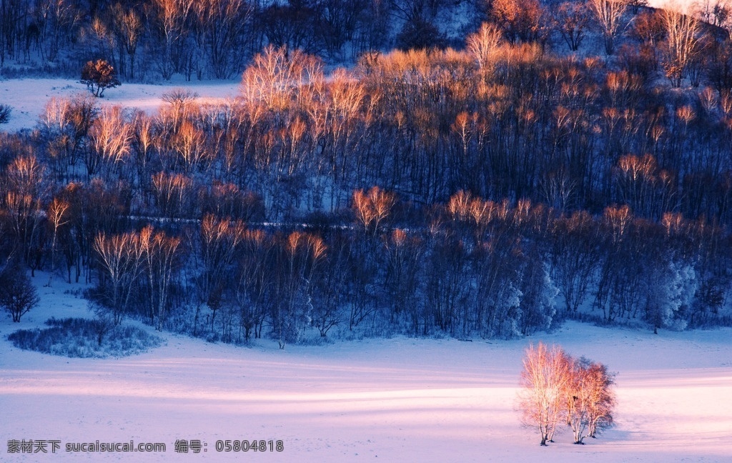 冬日坝上 日出 坝上 晨光 雪原 林海 自然景观 自然风景