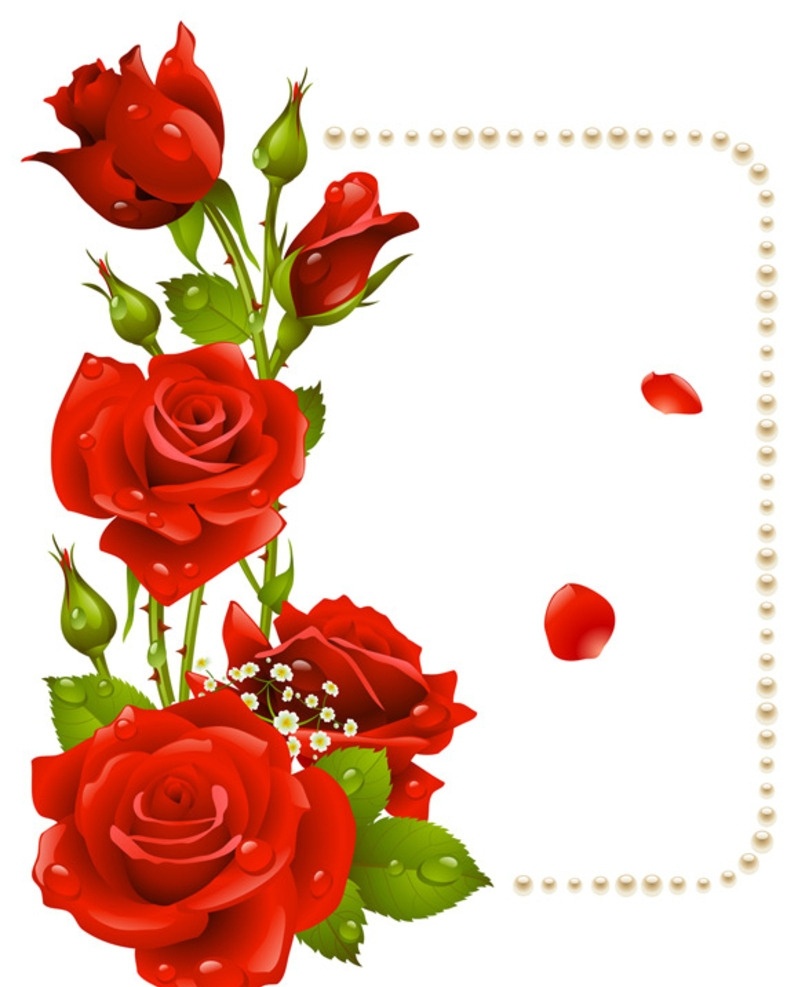 浪漫 七夕 玫瑰 花边 矢量 红色玫瑰 浪漫七夕 玫瑰花 情人节 矢量素材 矢量图 矢量图库