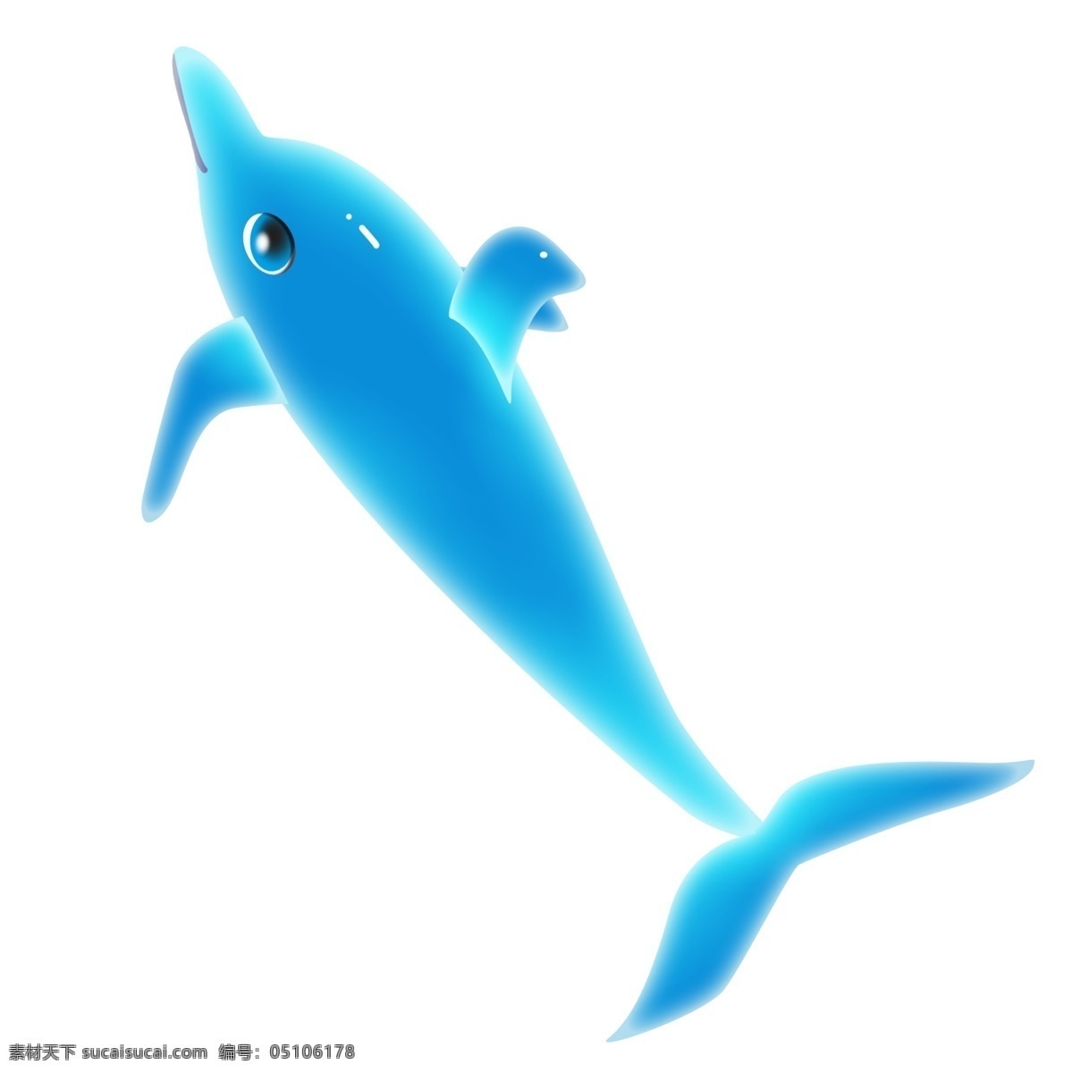 大海蓝色海豚 海豚 动物 海洋