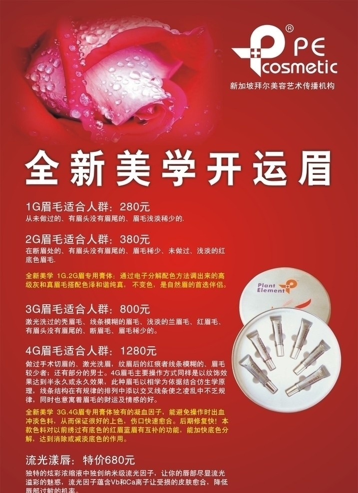 新加坡 拜尔 美容 艺术 传播 机构 玫瑰 眉毛 唇膏 其他设计 矢量