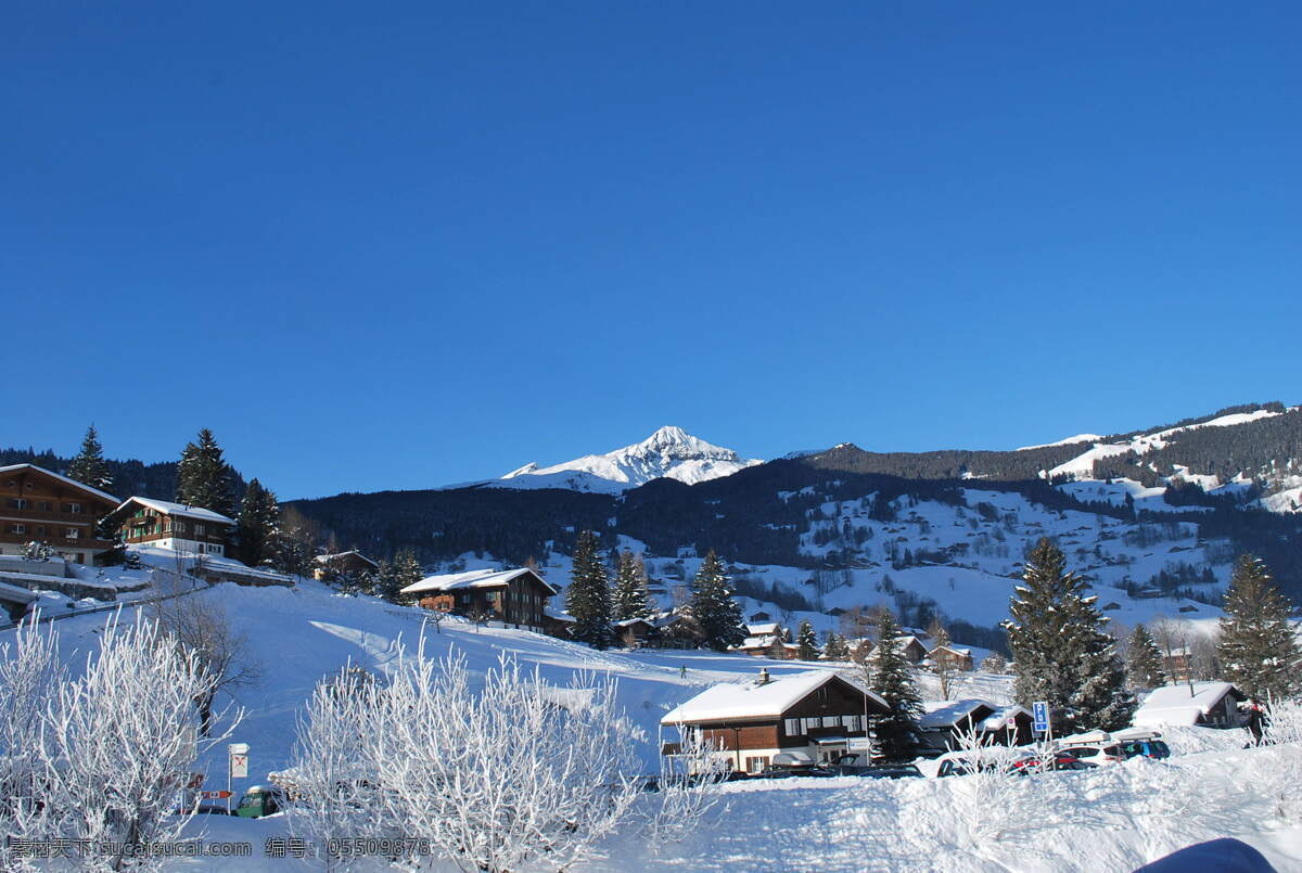 瑞士 蓝天 下 雪山 白雪 积雪 雪松 蓝天下的雪山 阿尔卑斯山 雪山峰 风景 生活 旅游餐饮
