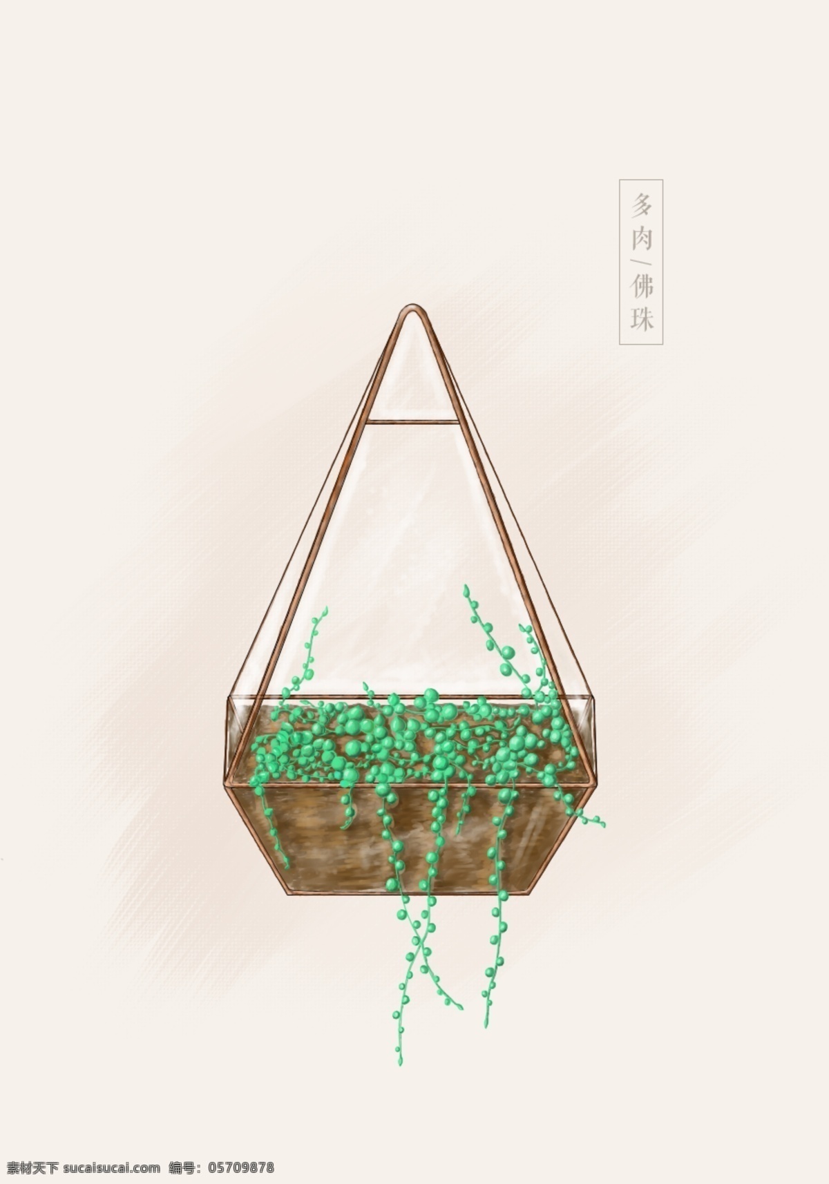 手绘 肉 佛珠 植物 多肉植物 花卉 装饰 元素 盆景 花盆 花瓶