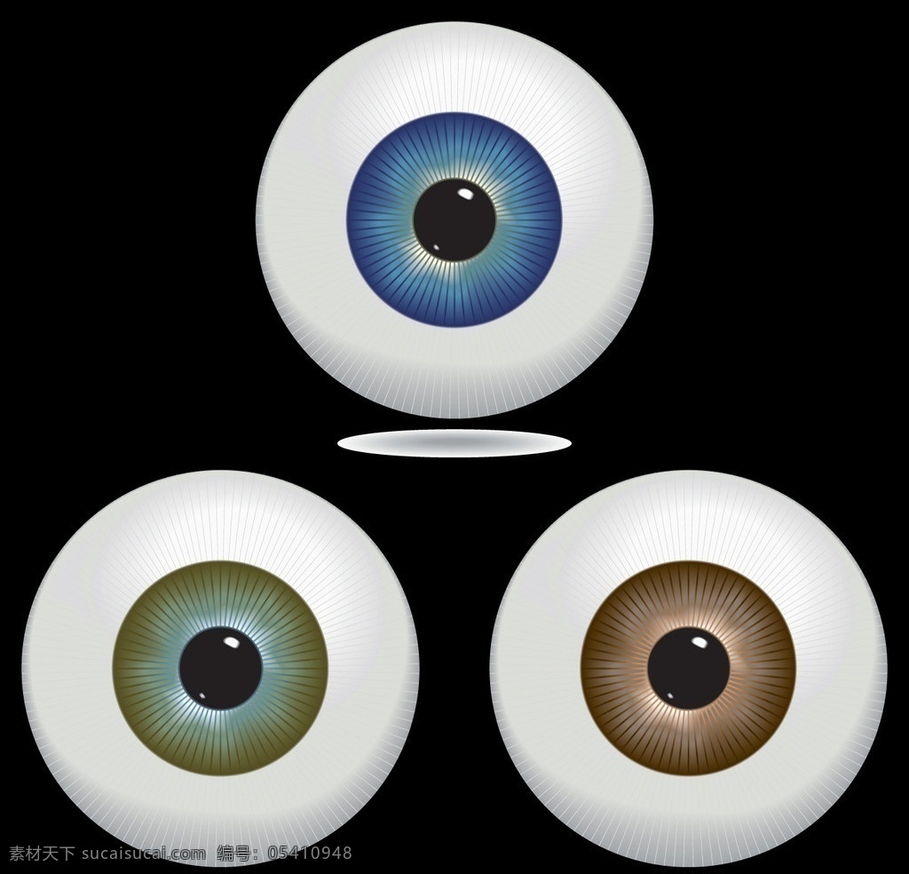 眼球 眼 眼珠 瞳孔 视网膜 3d器官 五官设计 眼镜 眼珠子 人体器官 人体研究 医学器官 人体解剖 医学器官图鉴 医疗护理 现代科技 医疗保健 生活百科 矢量
