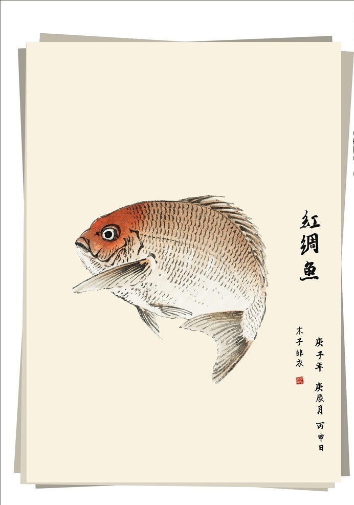 红绸鱼 水墨画 加拉鱼 加级鱼 铜盆鱼 毛笔画 写意 笔墨丹青 文化艺术 绘画书法