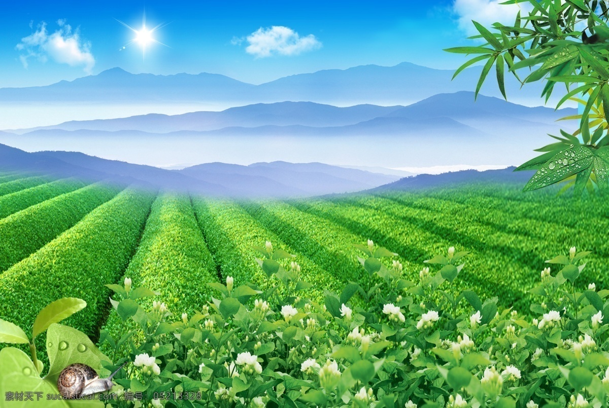 茶园海报 绿色茶园 蓝天白云 阳光 远处的山 茉莉花 竹叶 涡流 分层 源文件