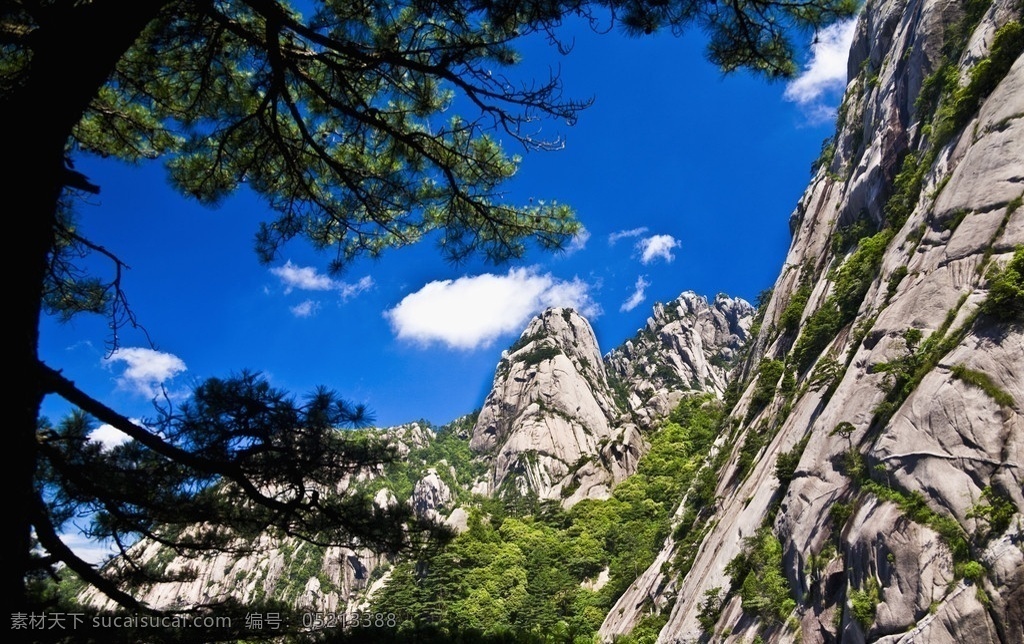 黄山 安徽 安徽黄山 迎客松 绿树 树木 蓝天 天空 白云 风景 风景名胜 自然景观