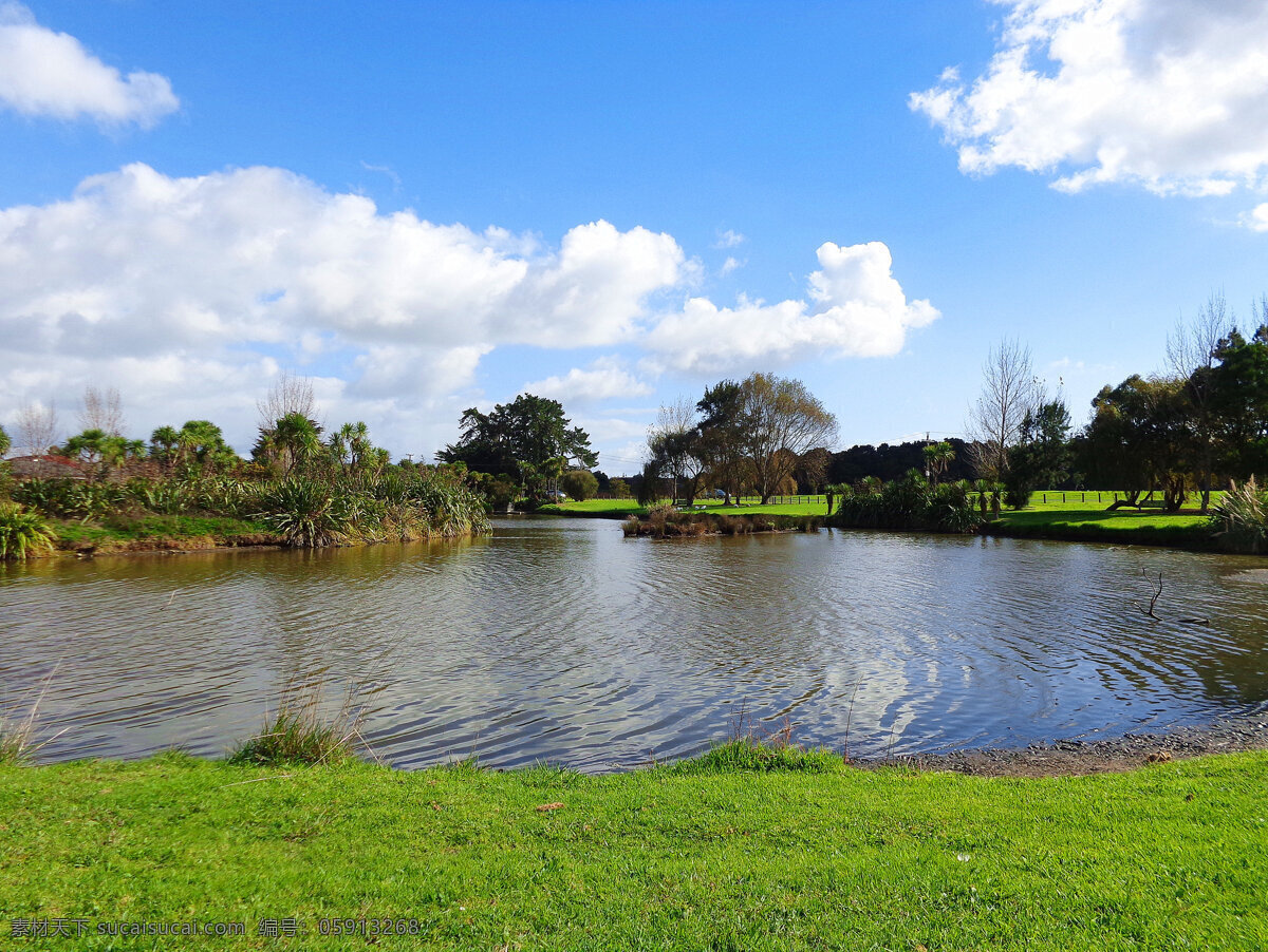 新西兰 野鸭湖 风景 蓝天 白云 湖水 倒影 绿树 绿地 草地 旅游摄影 国外旅游 白色