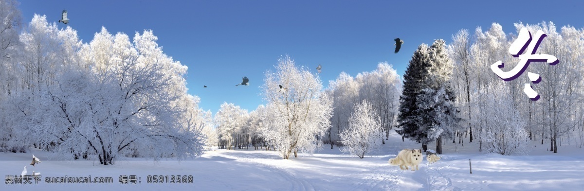 冬天风景 冬天 雪景 老鹰 动物 雪地 雪狐 森林