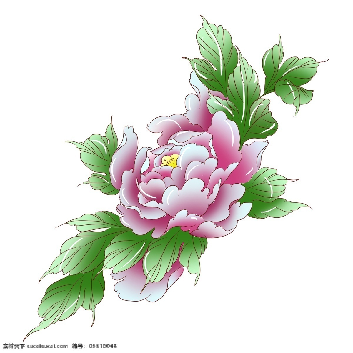 手绘 植物 粉红色 牡丹花 手绘花 手绘植物 粉红 手绘牡丹 粉红牡丹