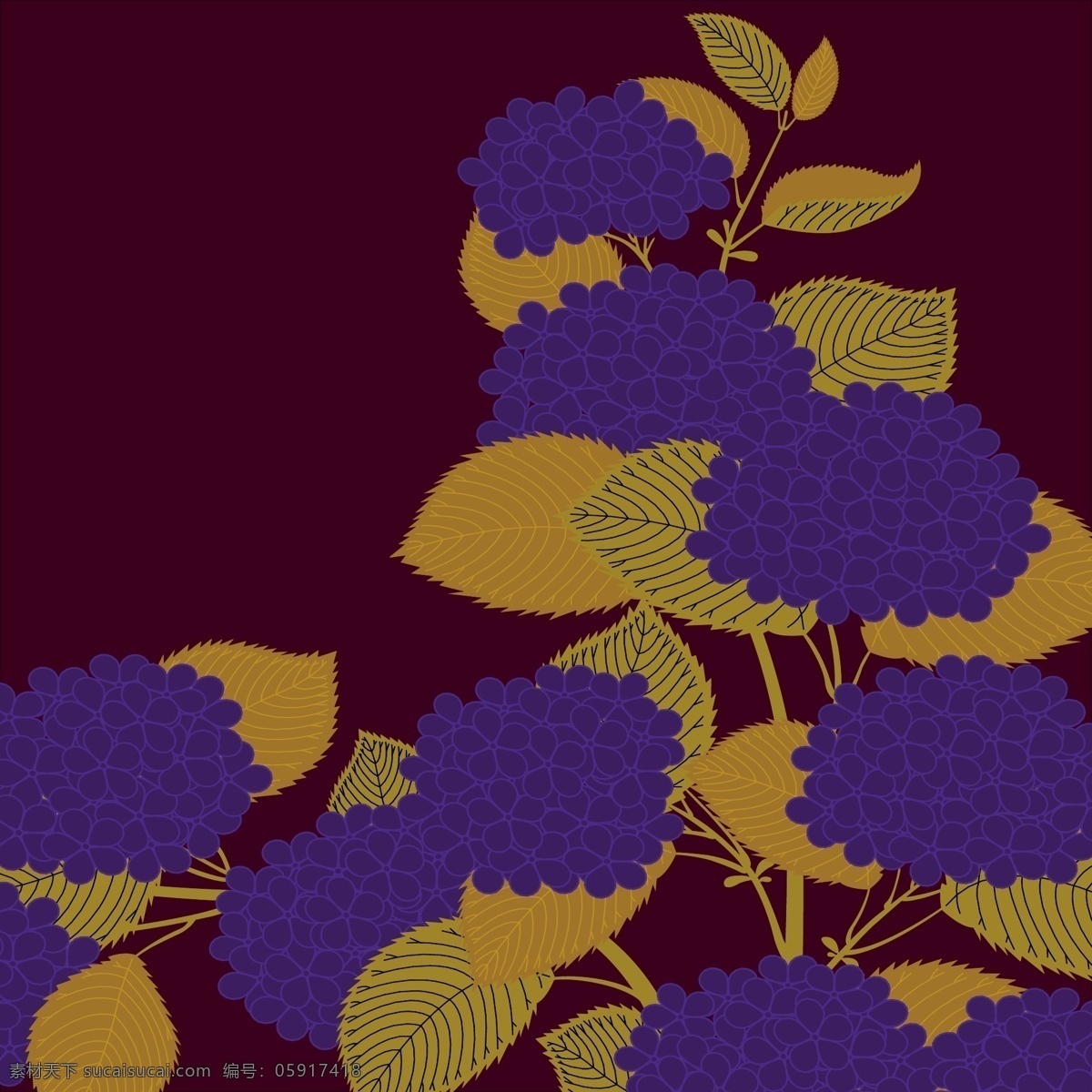 日本绣球花 日式 紫色 绣球花 黑底 简约 文化艺术 传统文化