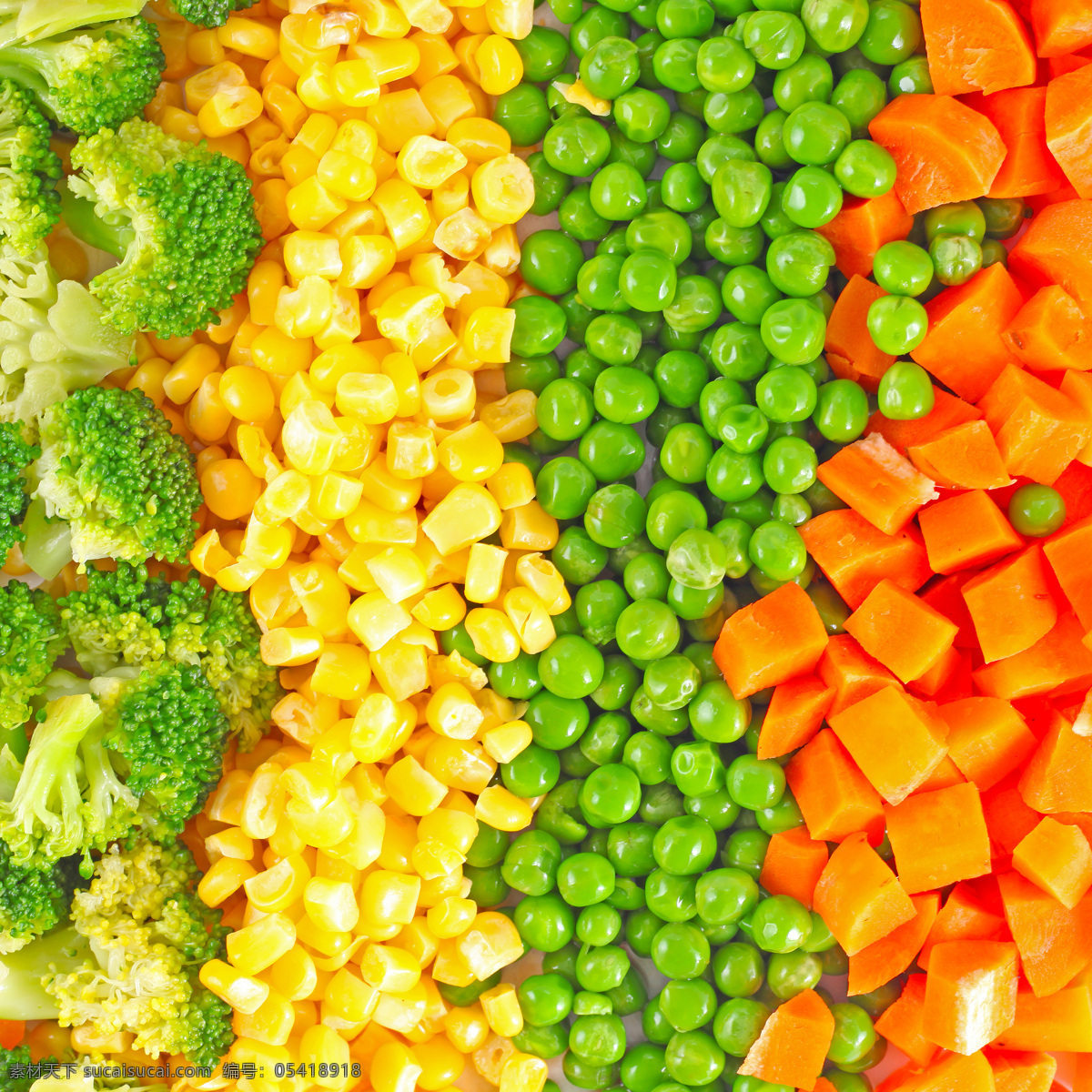 蔬菜 蔬菜素材 蔬菜摄影 绿色蔬菜 菜蔬背景 蔬菜广告 摄影图库 水果蔬菜 餐饮美食 黄色