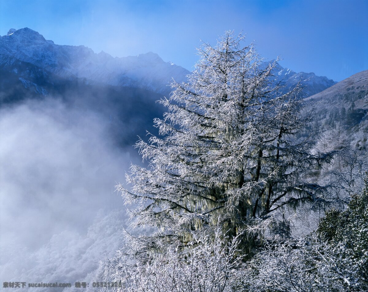 雪景 下雪 冬天 雪花 市 城市 街道 老街 建筑 电脑壁纸 黄昏 风景 舞台 路灯 灯光 背景 底色 卡通背景 儿童背景 蓝天 白云 草地 海边 海浪 沙滩 马路 乡间小路 道路 中国风 月光 中国风背景 高山 自然风景 花朵 湖泊 手机壁纸 冰块 寒冰 冰霜 雪山 雪地 花海 室内 壁纸 冰 jpg图片 自然景观 山水风景