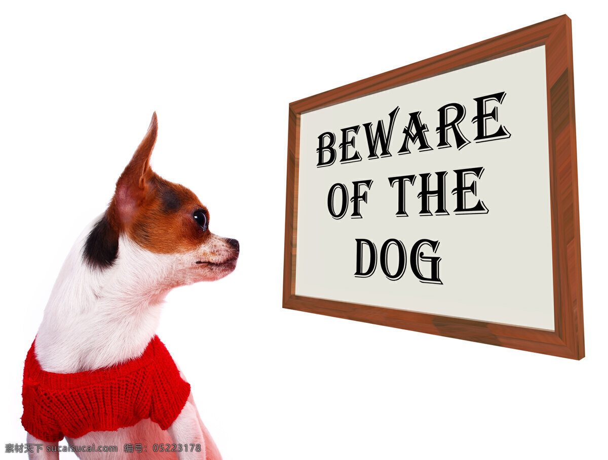 当心 狗 保护 警告 标志 生物世界
