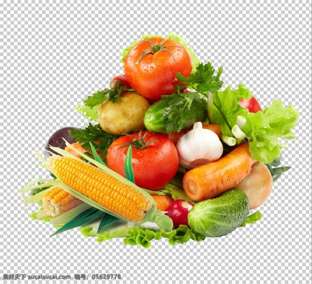 膳食 营养 营养均衡 蔬菜 瓜果蔬菜 绿色食品 健康食品