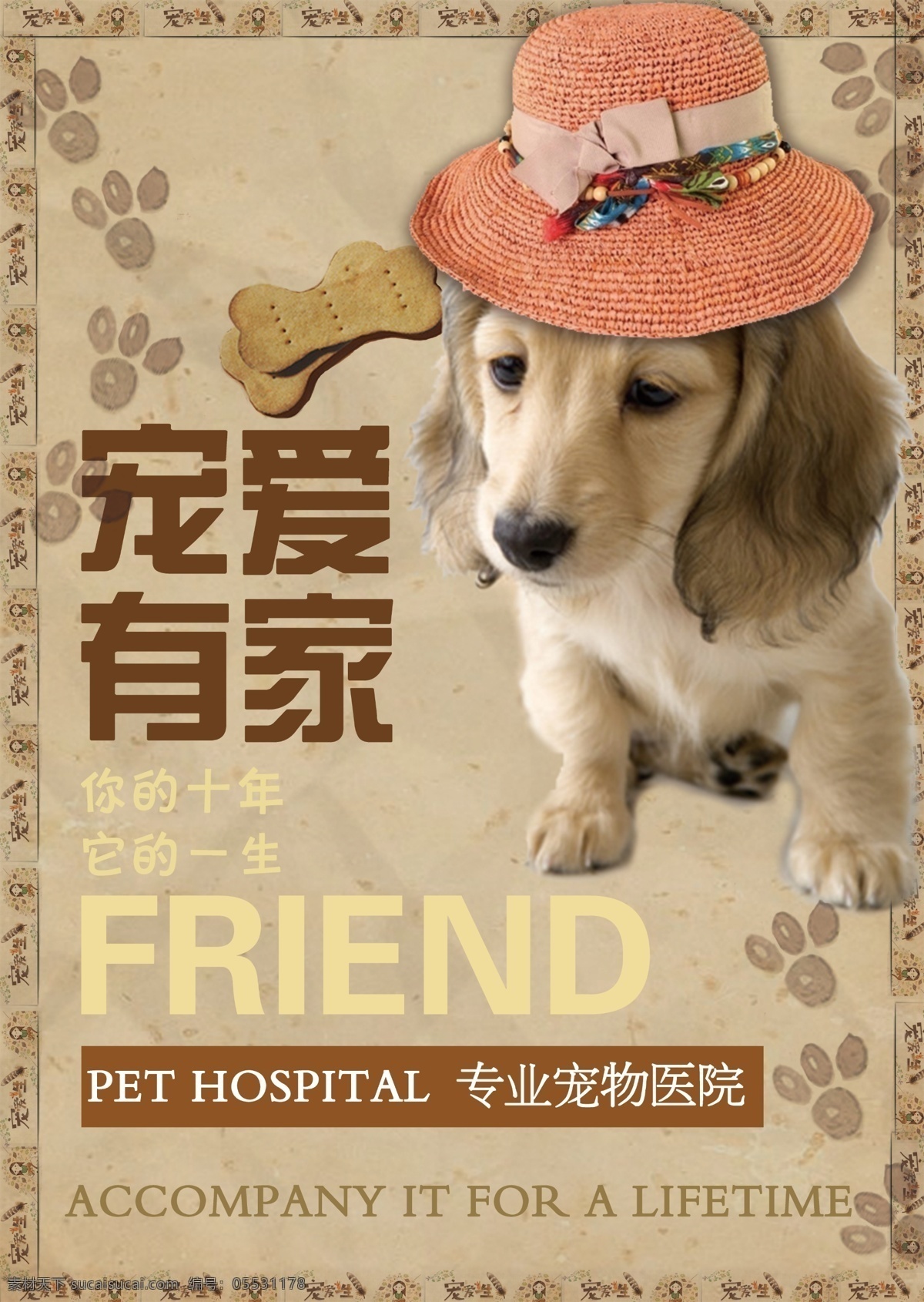 宠物海报 宠物医院 宠物 海报 展板 简约 宠爱有家 人类朋友 狗
