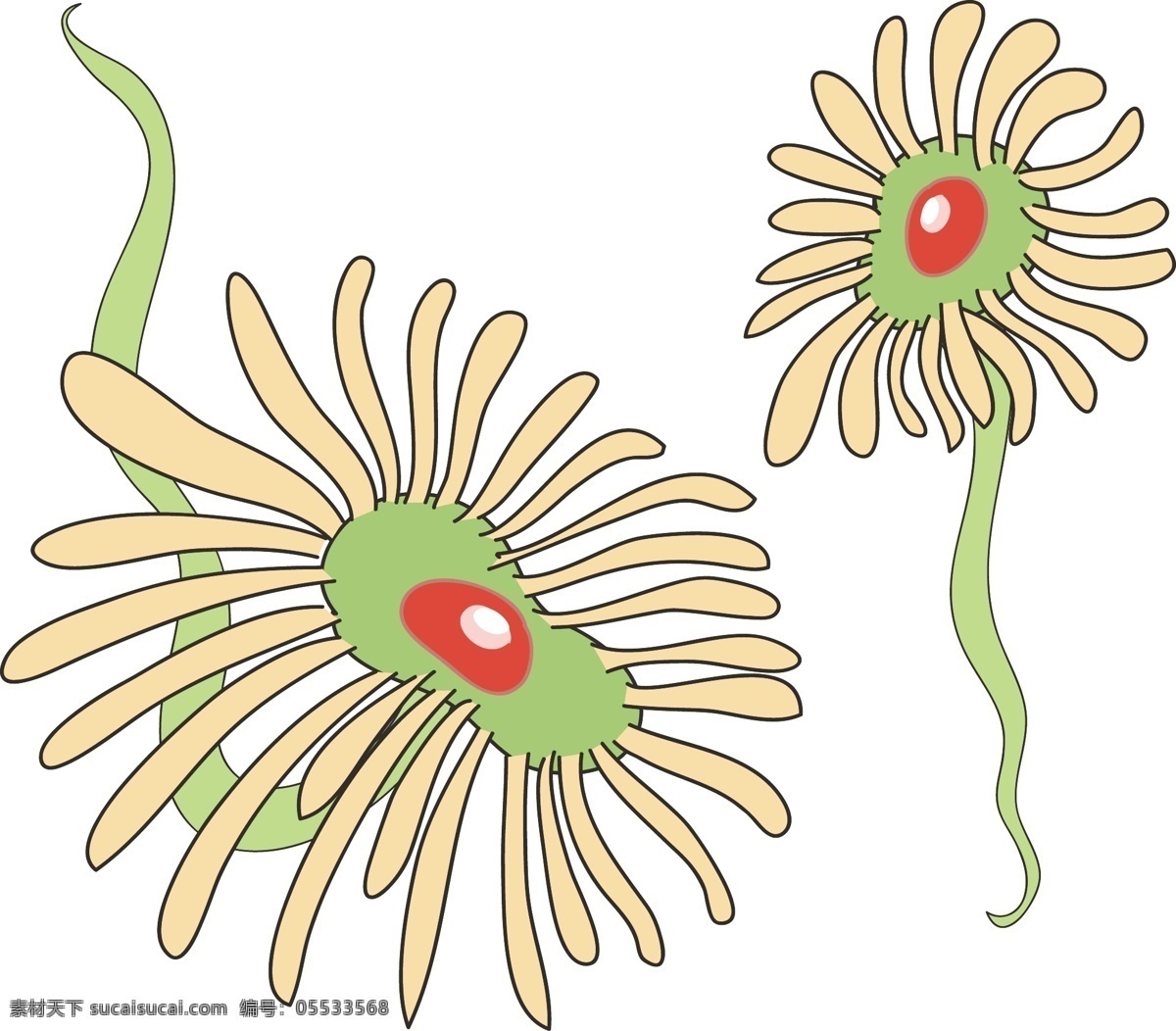 单细胞 生物 细菌 单细胞生物 细菌插画 卡通插画 细胞膜插画 细胞壁 核糖体 病菌 螺旋菌插画