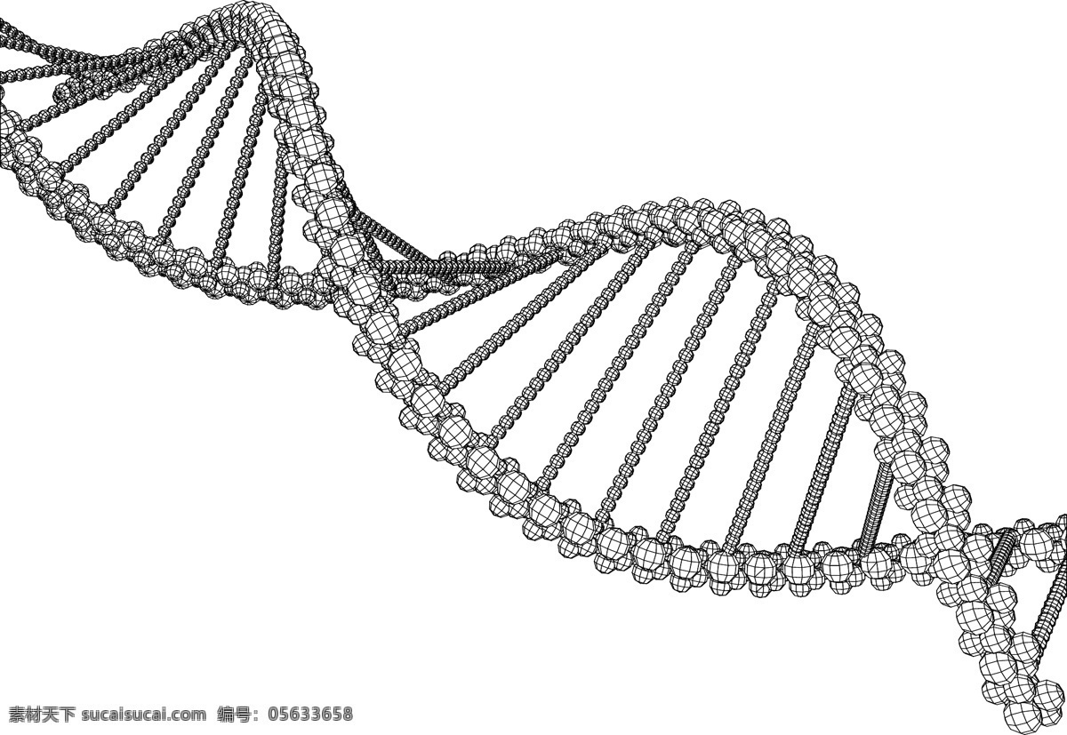 dna 科学 医学 生物 生物化学 生物学 技术细胞 化学 铬染 色体 克隆 代码 进化