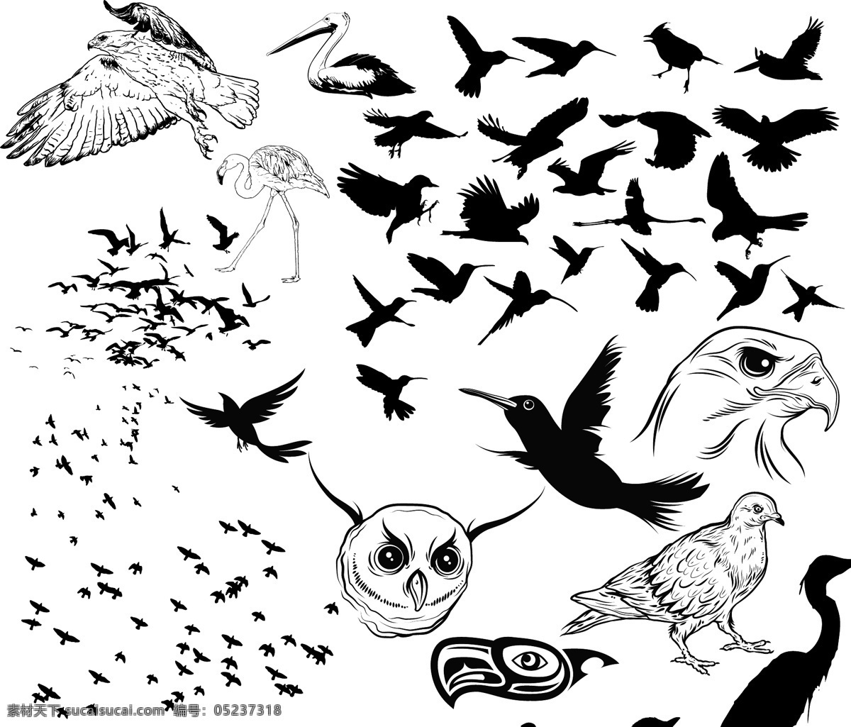 各种 鸟类 剪影 矢量图 鸟 鸟群 鹰 猫头鹰 鹭 生物世界
