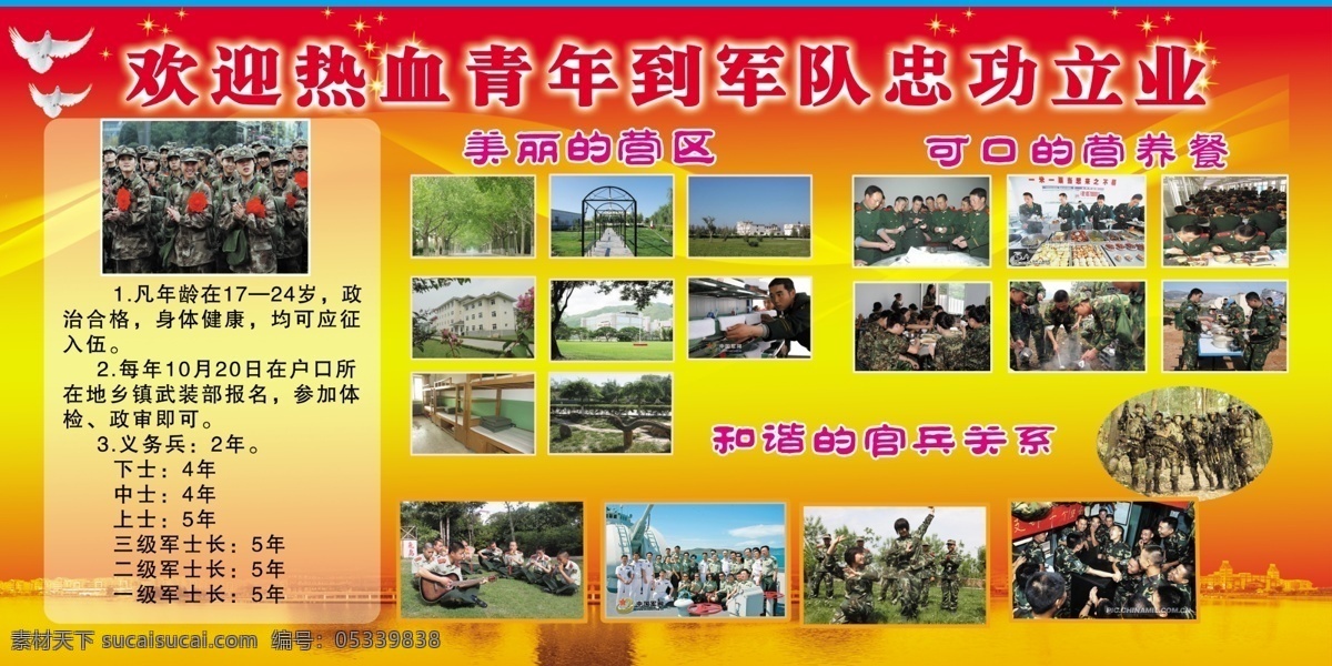 军队展板 美丽 园区 照片 可口 营养餐 官兵愉乐照片 白鸽 水 渐变 绸带 星光 分层 源文件
