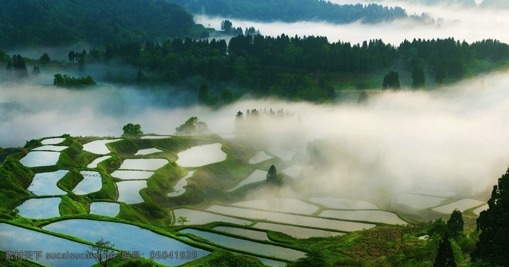 水梯田 唯美梯田 唯美 风景 风光 旅行 自然 绿色 田园 南方梯田 农田 田野 田园风景 乡下 梯田风景 自然景观 自然风景 田园风光