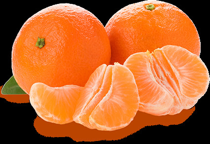 柑橘图片 柑橘 橘子 桔子 水果 蜜橘 蜜桔 无籽蜜桔 照片