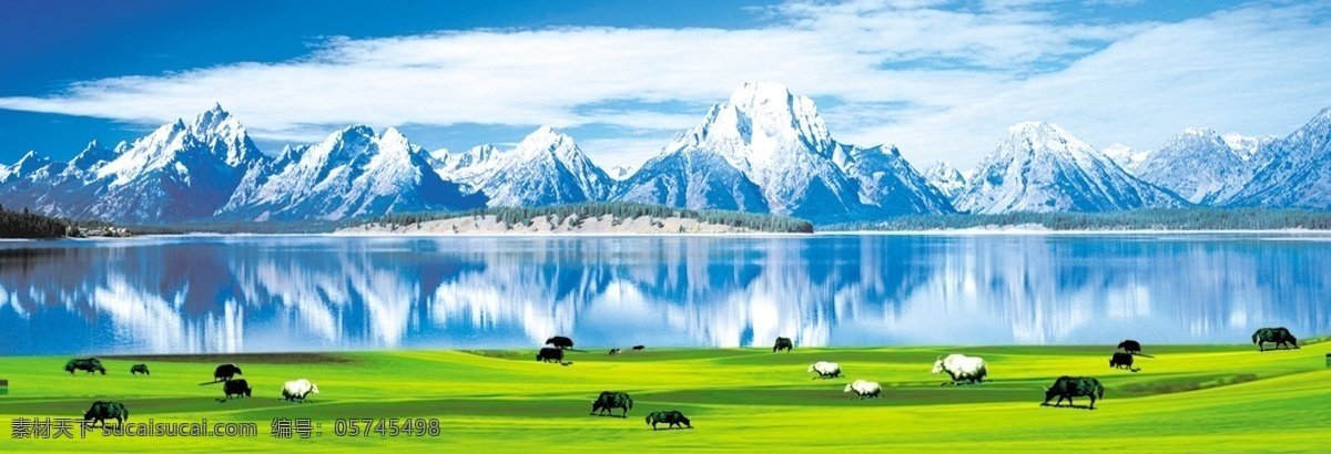 西藏 雪域高原 白云 草地 牦牛 西藏雪域高原 psd源文件