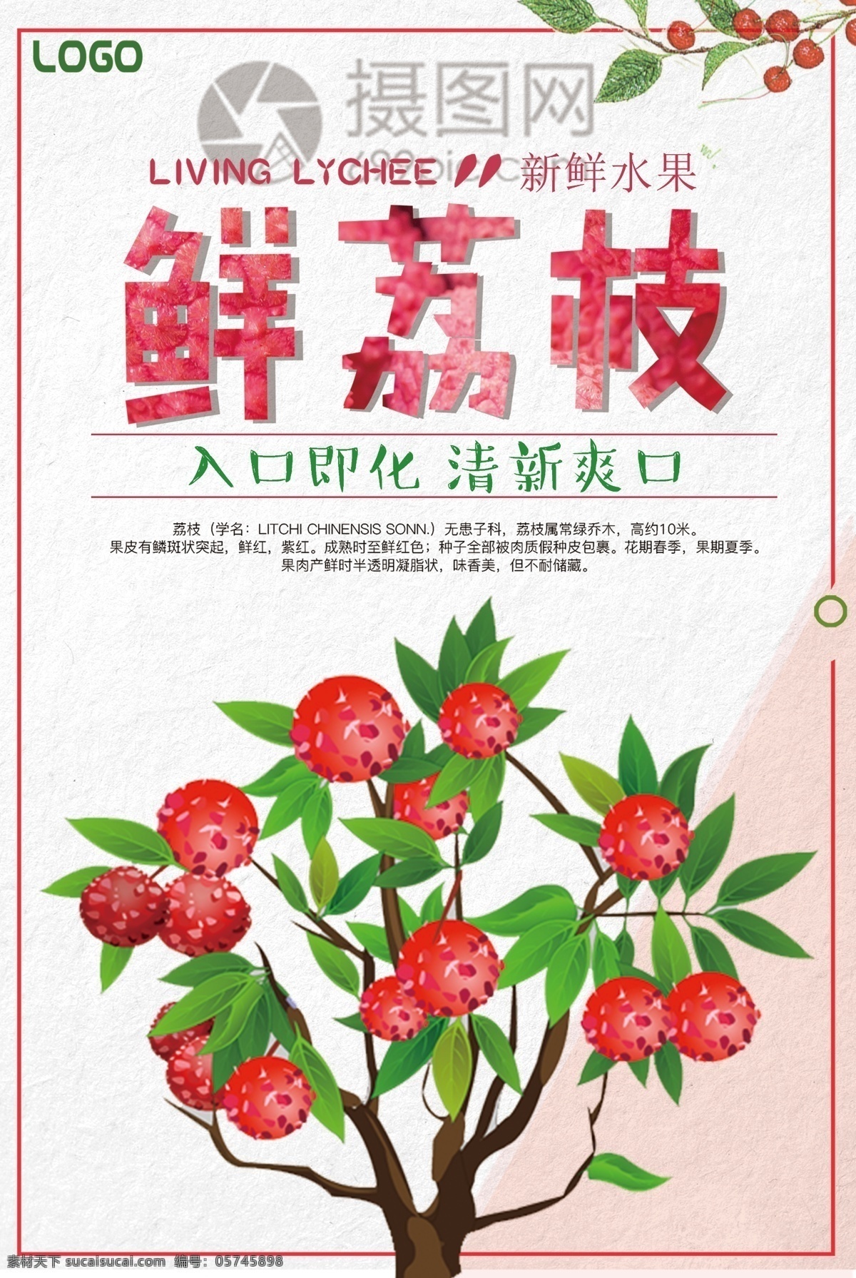 水果 海报促销 夏季 荔枝 促销 海报 夏季水果 六月水果