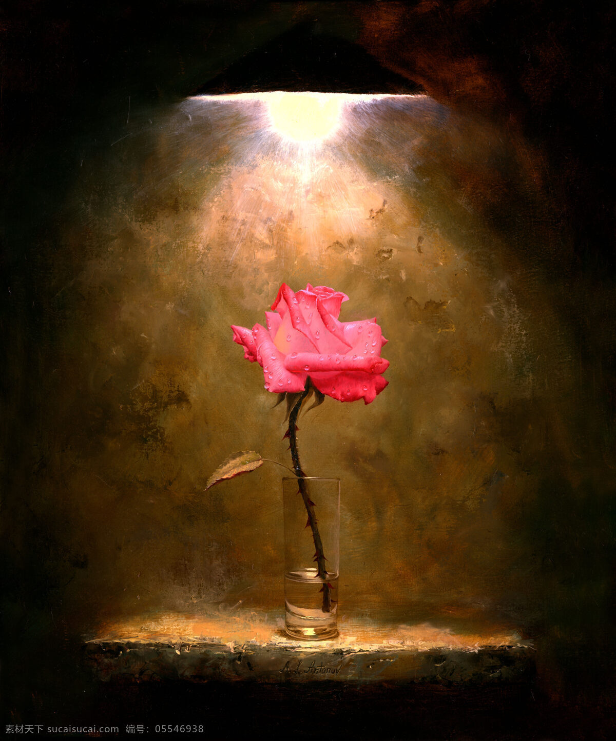 玫瑰花装饰画 洞穴 花卉 玫瑰花 手绘 阳光下 一朵玫瑰 油画