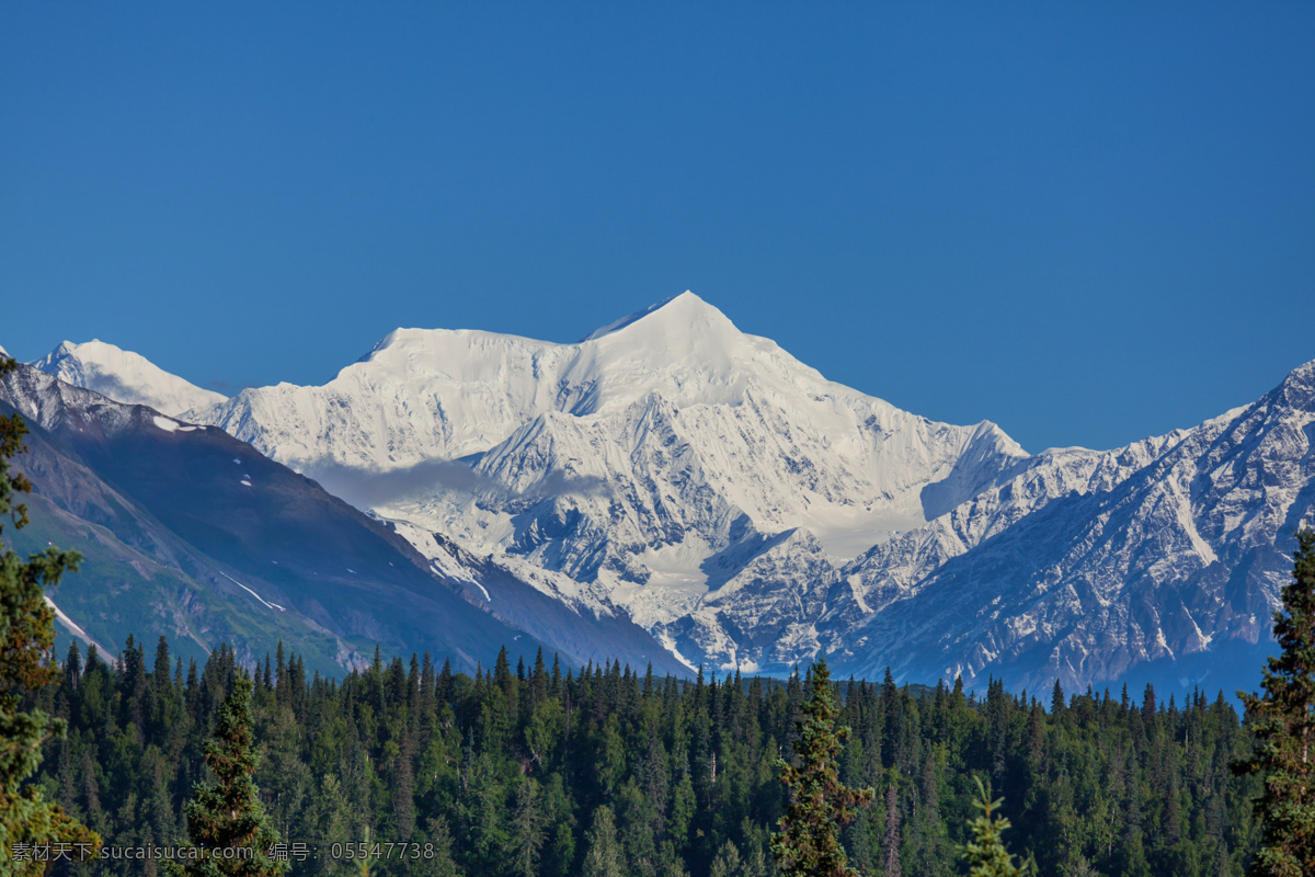 阿尔卑斯山 景色 山峰 雪峰 旅游 风景 森林 山水风景 风景图片