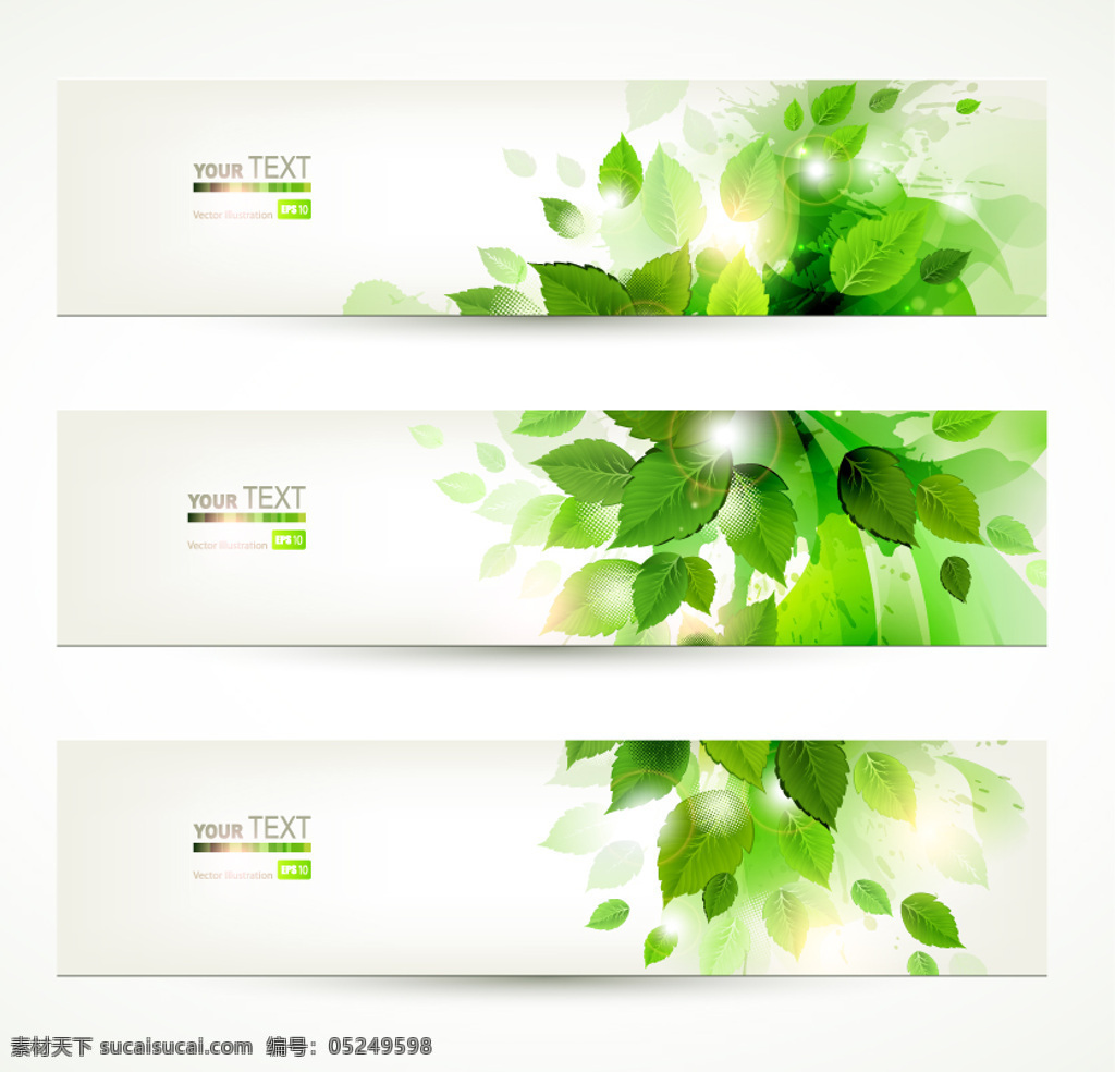 绿叶 卡片 banner 矢量 card 光晕 横幅 绿色 矢量素材 线条 星光 叶子 叶脉 颜颜丶一个人 矢量图 其他矢量图