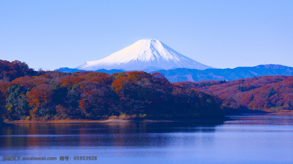美丽 富士山 景色 森林 树木 蓝天 湖水 自然景观 山水风景