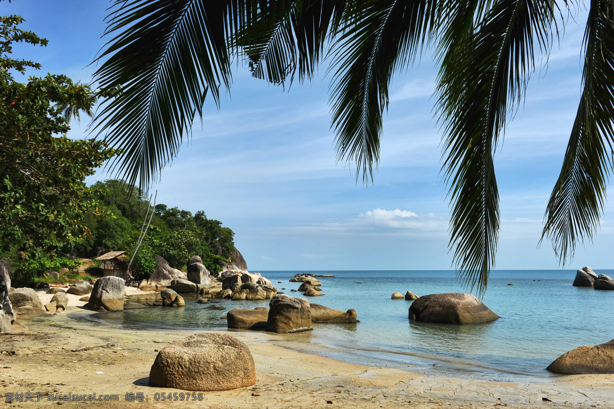 海边 自然 美景 蓝天 白云 大海 石头 岩石 椰子树 沙滩 自然风光 山水风景 风景图片
