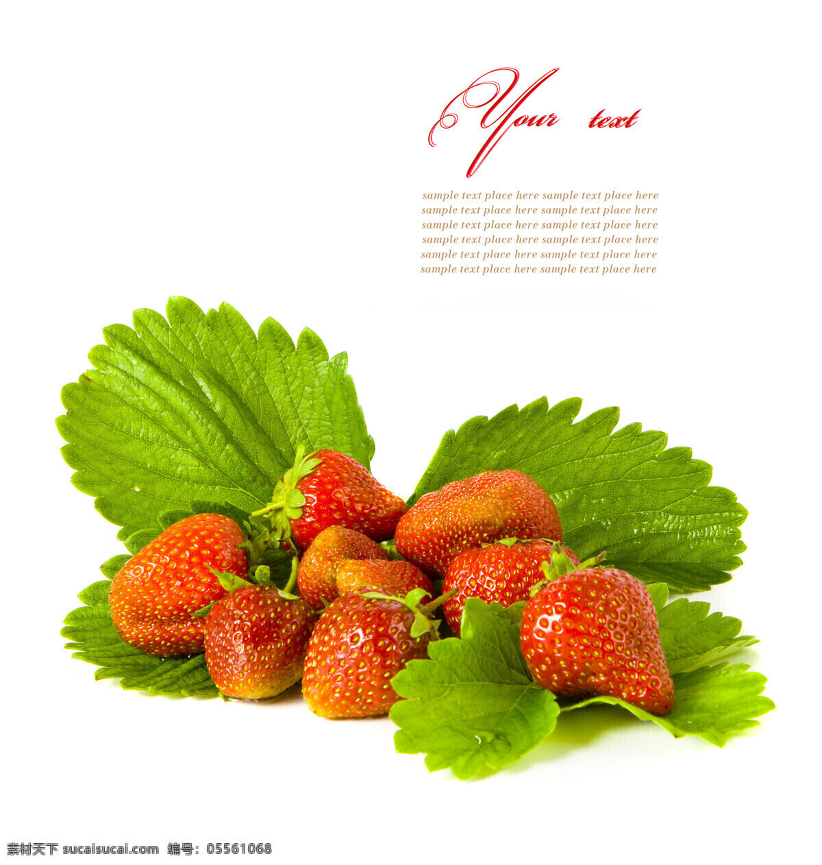 新鲜 草莓 水果 新鲜水果 绿叶 水果摄影 花草树木 生物世界