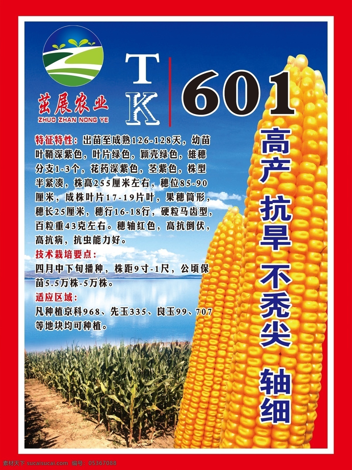 玉米海报 宣传 海报 玉米 农产品 绿色 分层