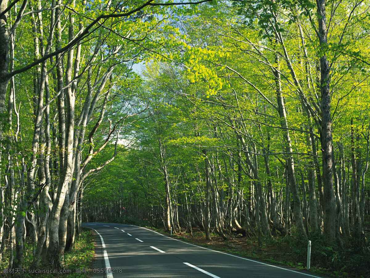 风景 优美 道路 公路 马路 自然景观 自然风景