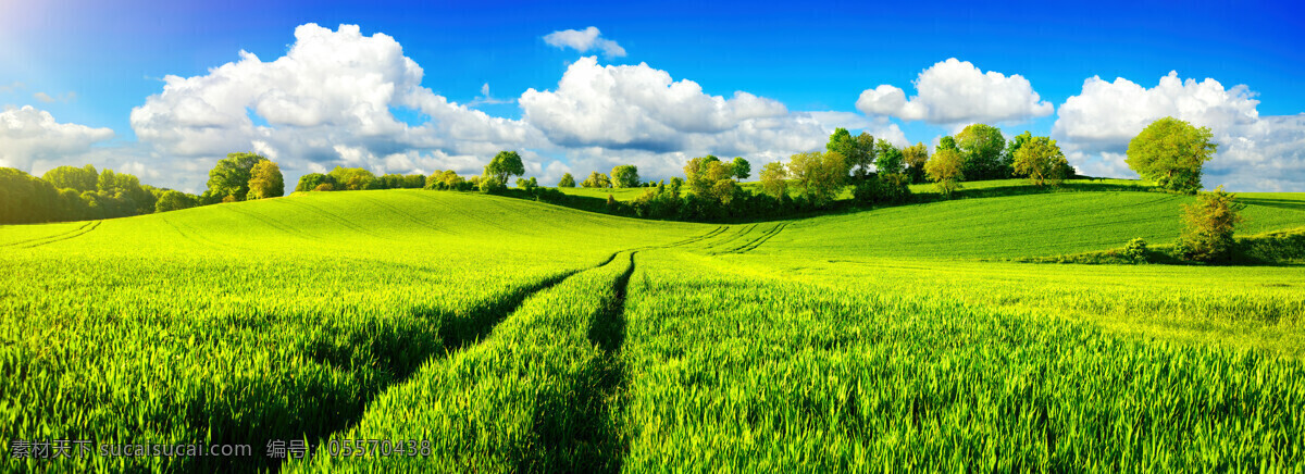 天空 草地 蓝天 白天 碧草 绿色 彩云 自然景观 自然风景