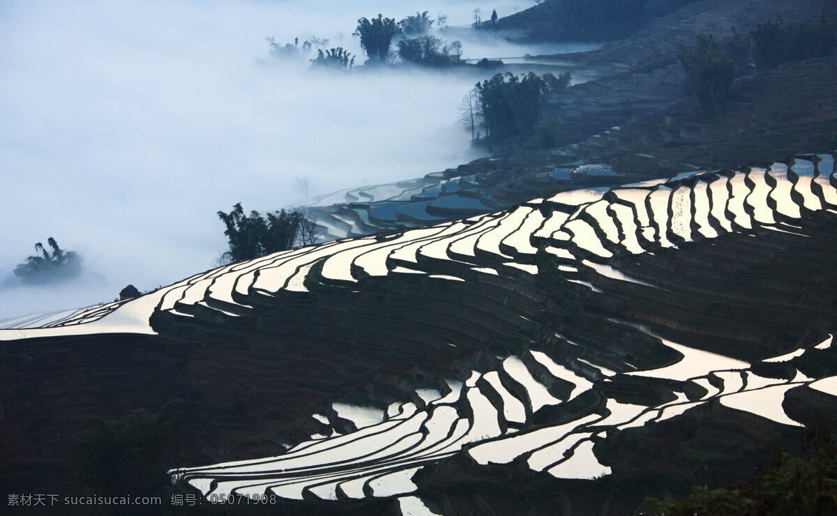 云南梯田 梯田 云海 云雾 云南 旅游 摄影图片 旅游摄影 山坡 山水 山水风光 斜坡 自然景观 美丽的梯田 鸟瞰梯田 风光 风景 田园 田园风光 农田 大山 山 山川 山林 山峦 山脉 山峰 树木
