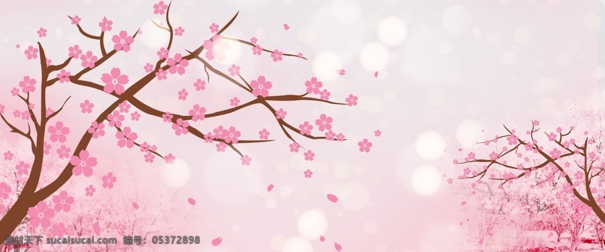 唯美 浪漫 中国 风 粉色 樱花 中国风 樱花季 樱花节 花朵 枝叶 树枝 治愈 清新