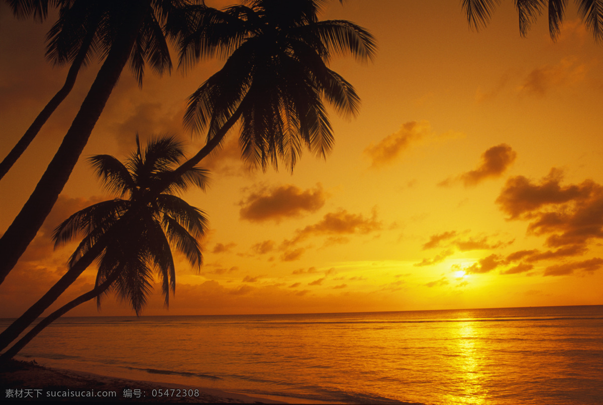 金黄色 海边 落日 美景 黄昏 大海 漂亮 风景 海岸 岸边 加勒比海岸 高清图片 大海图片 风景图片