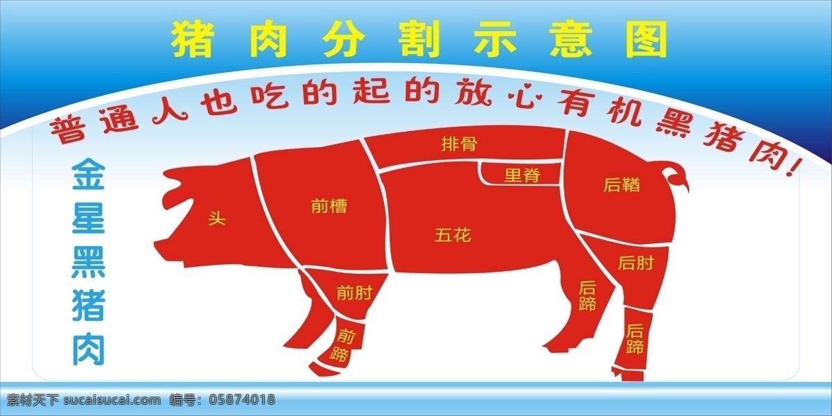 猪 猪肉 红色 有机食物 放心 白色