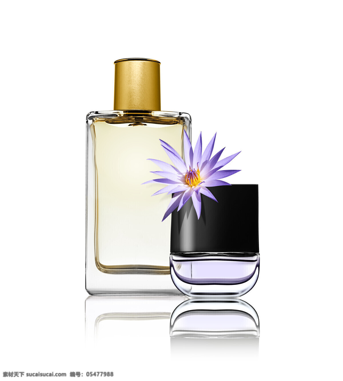 香水 花朵 perfume 香水瓶 香水广告 高清图片 生活用品 生活百科