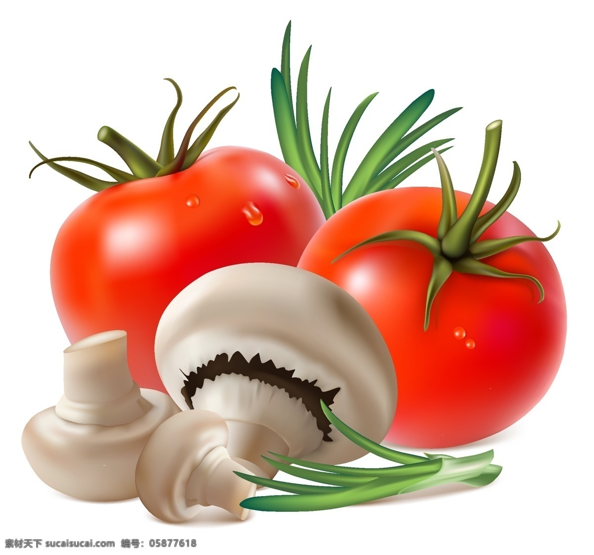 手绘蔬菜矢量 蘑菇 西红柿 蔬菜 背景 底纹 矢量 蔬菜水果 卡通设计