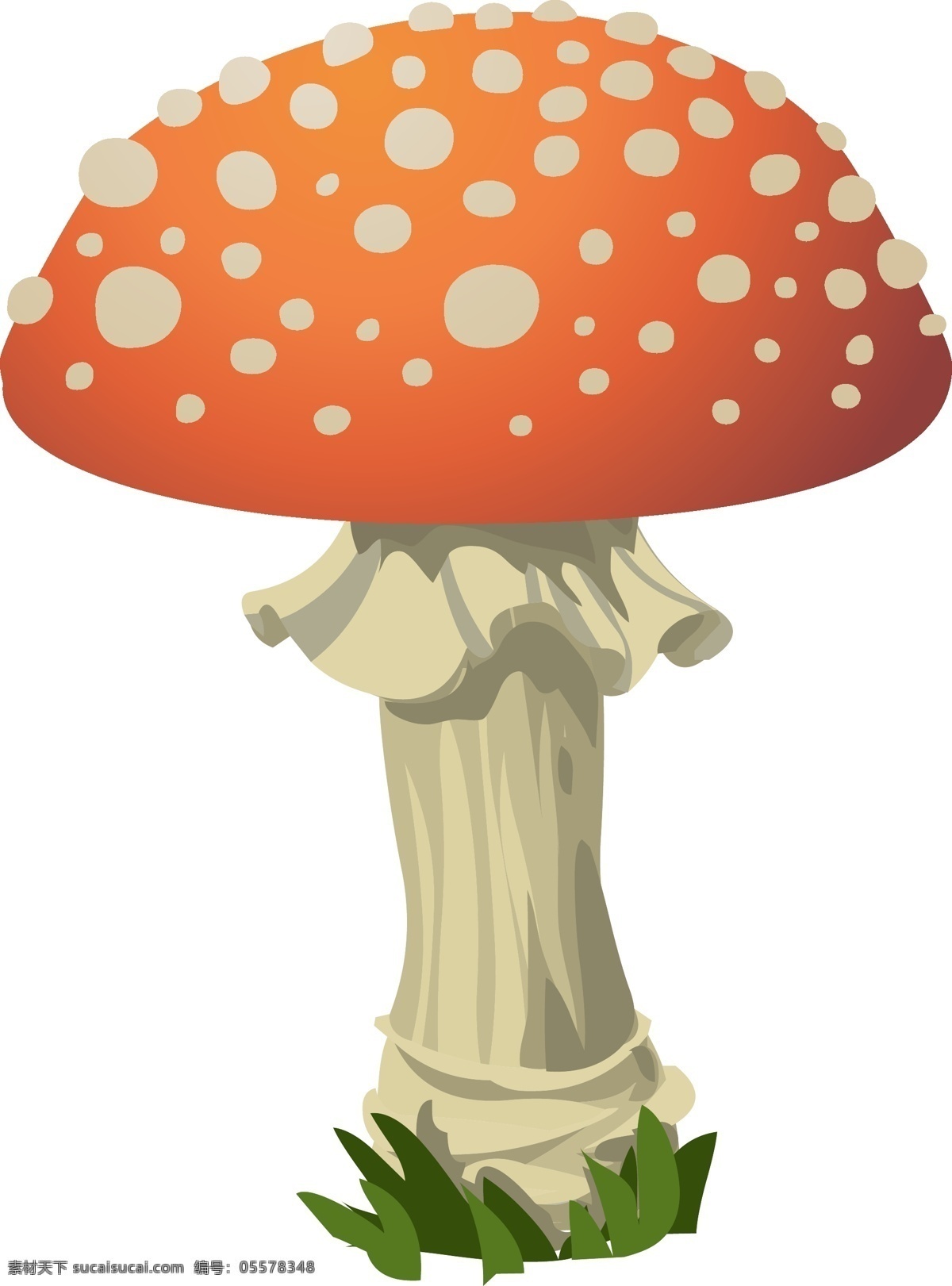 矢量蘑菇 蘑菇 飞木耳 红色 有毒 自然 菌类 发现 白 成长 户外 生物世界 花草
