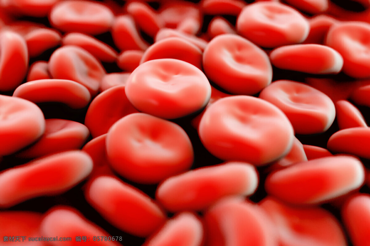 血液 血小板 血液干细胞 红细胞 细胞 医学 医疗 现代科技 科学研究